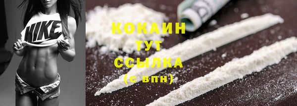 прущий лед Краснослободск