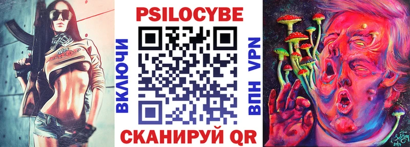 Купить  Усть-Джегута  Галлюциногенные грибы Psilocybe 